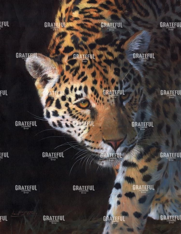 Jaguar Portrait 2