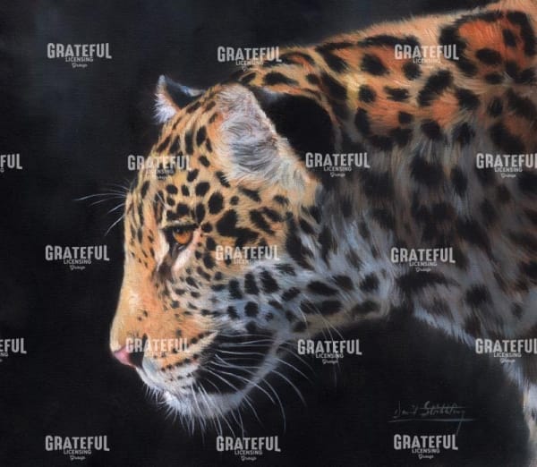 Jaguar Portrait