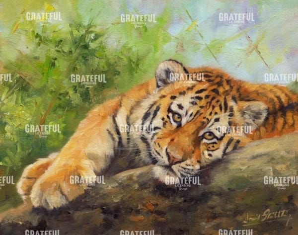 Tiger cub rock