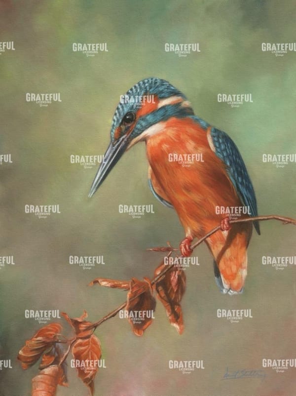 Kingfisher Perched