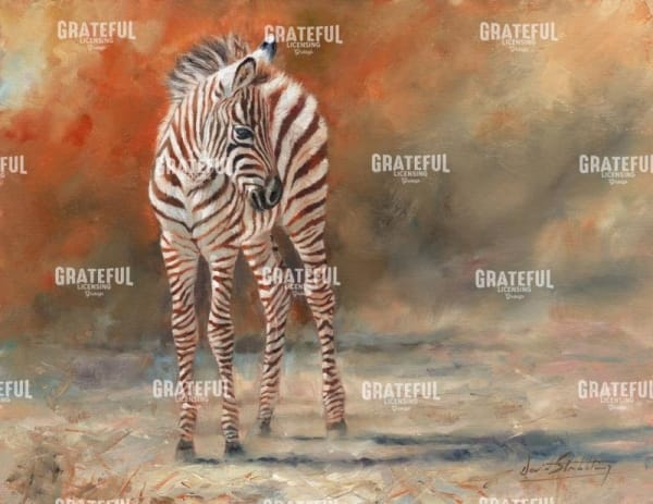 Zebra Foal Standing