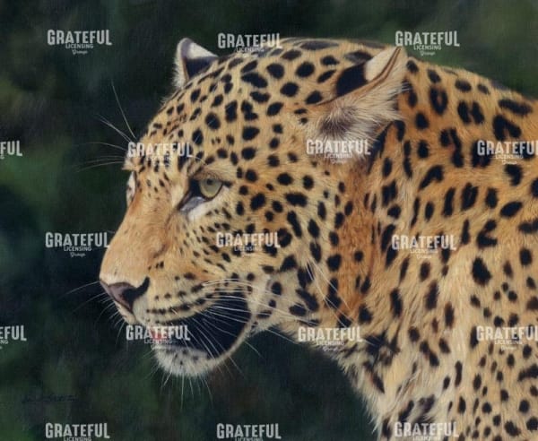 leopard head side