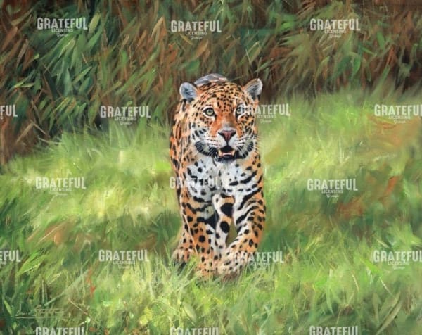 Jaguar front