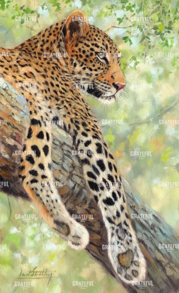 Leopard tree