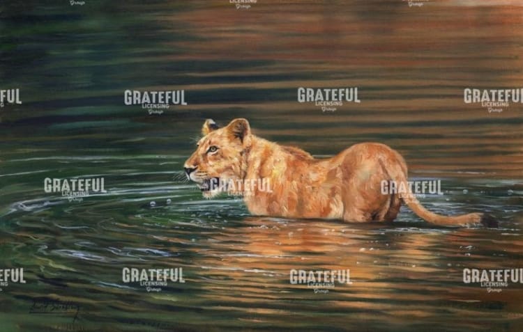 lioness water