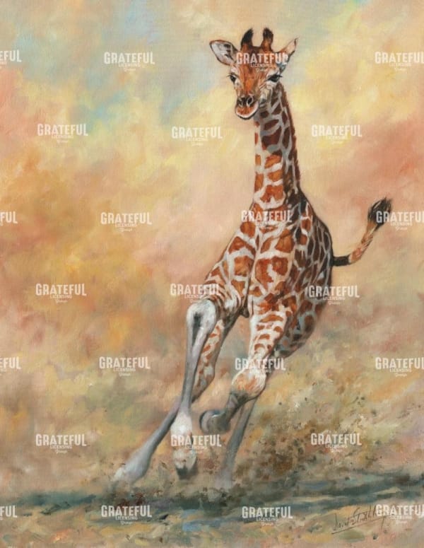 Young Giraffe Running