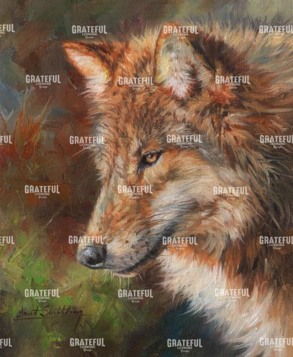 Grey Wolf Face