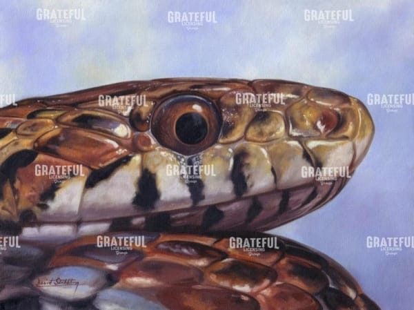 Snake