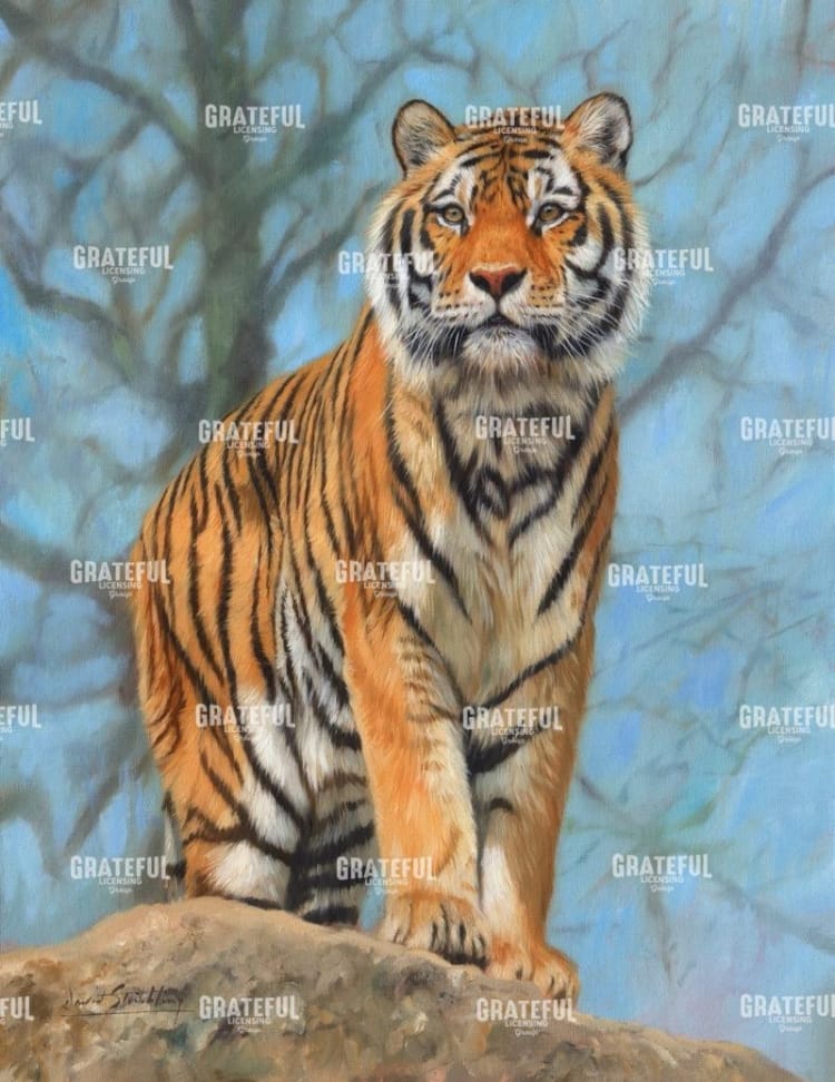tiger dart