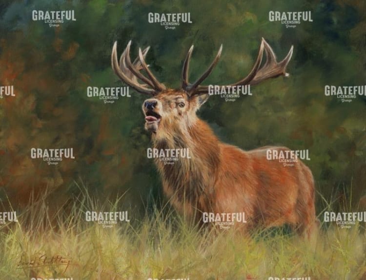 Stag #1
