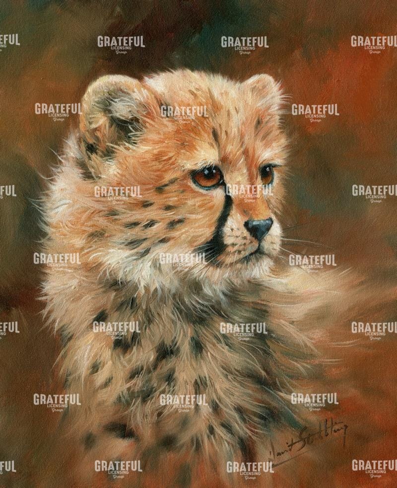 cheetah cub Portrait