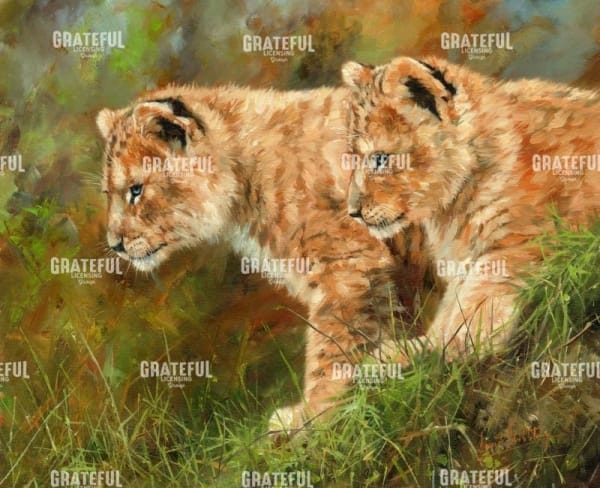 Lion siblings