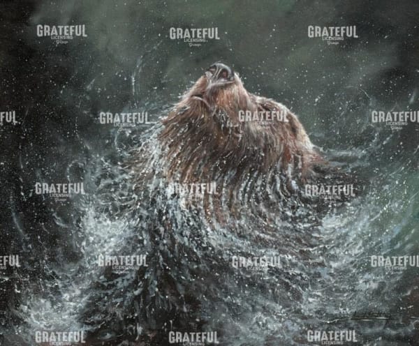 Bear Splash