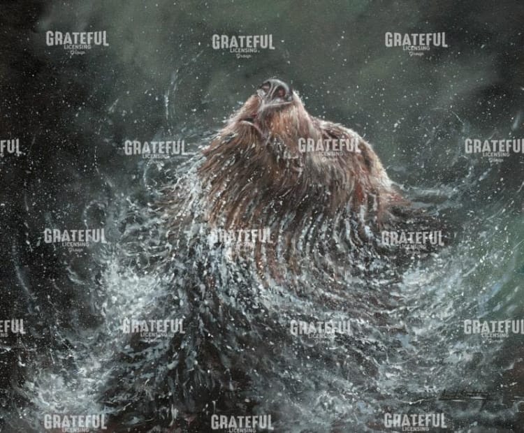 Bear Splash