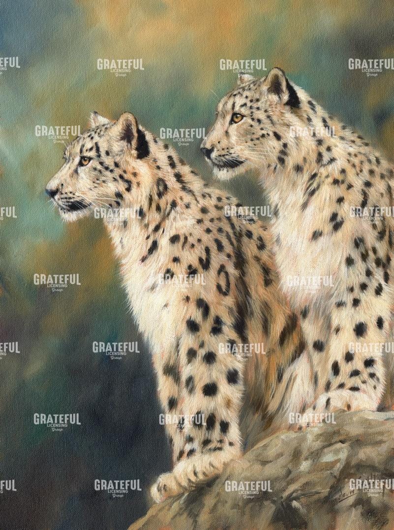 snow leopards brother's rock