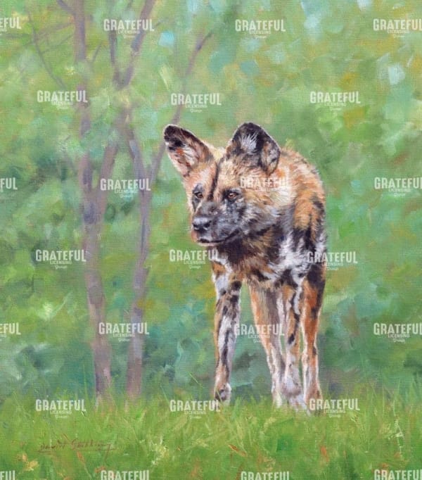 wilddog