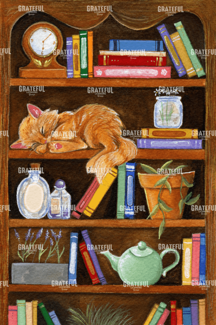 Cozy Bookshelf