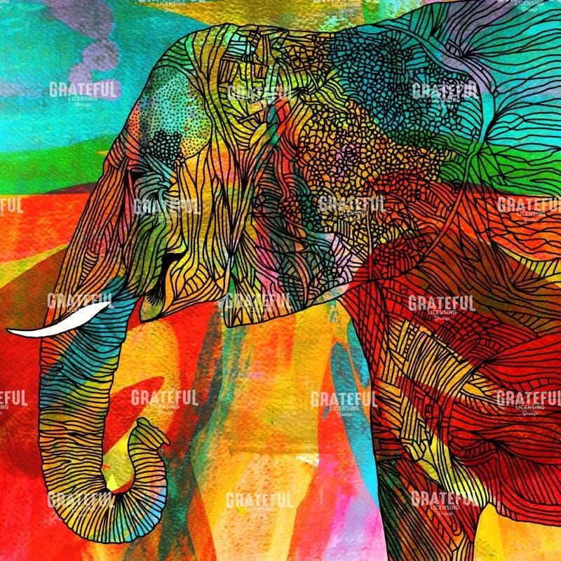 Elephant 2-22