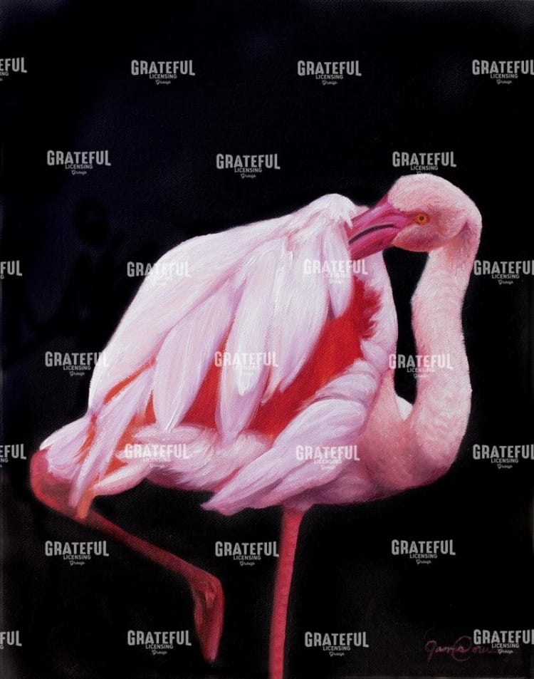 Flamingo1