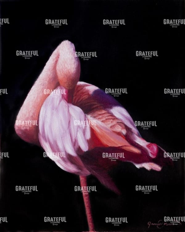Flamingo4