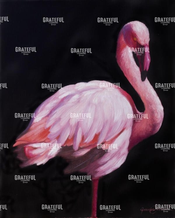 Flamingo2