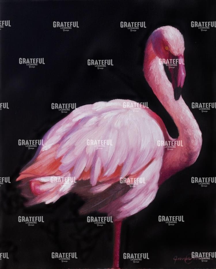 Flamingo2