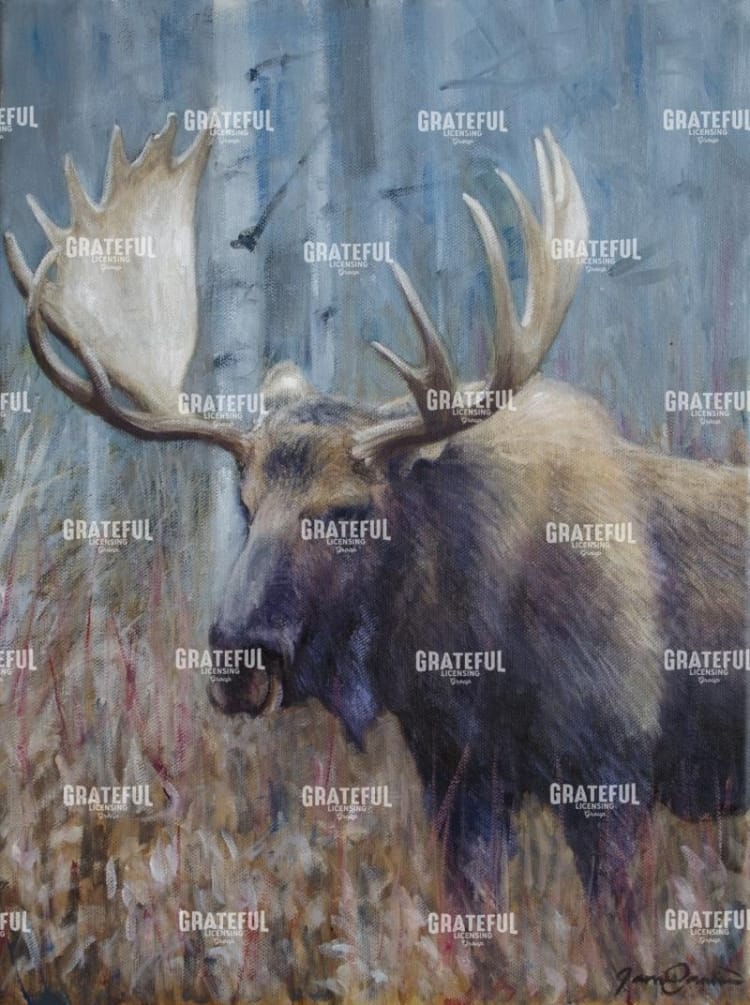 Fall Moose