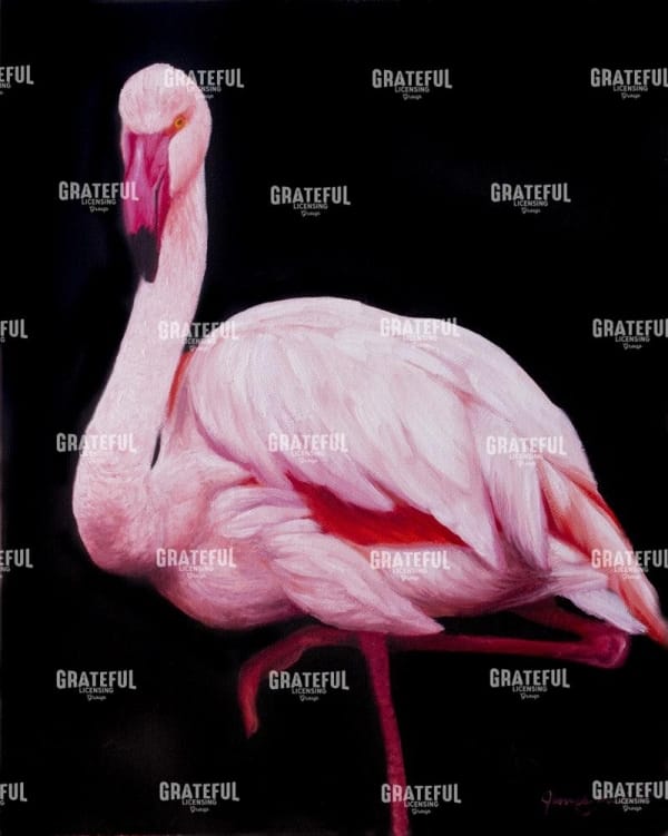 Flamingo3