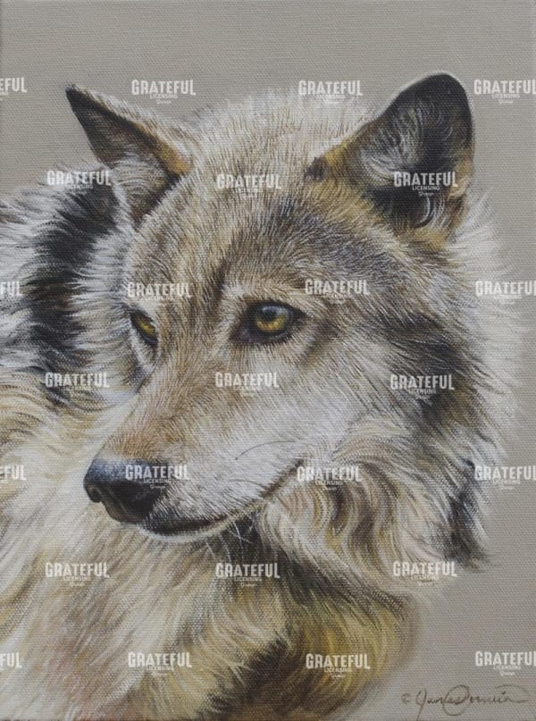 Portrait of a Wolf