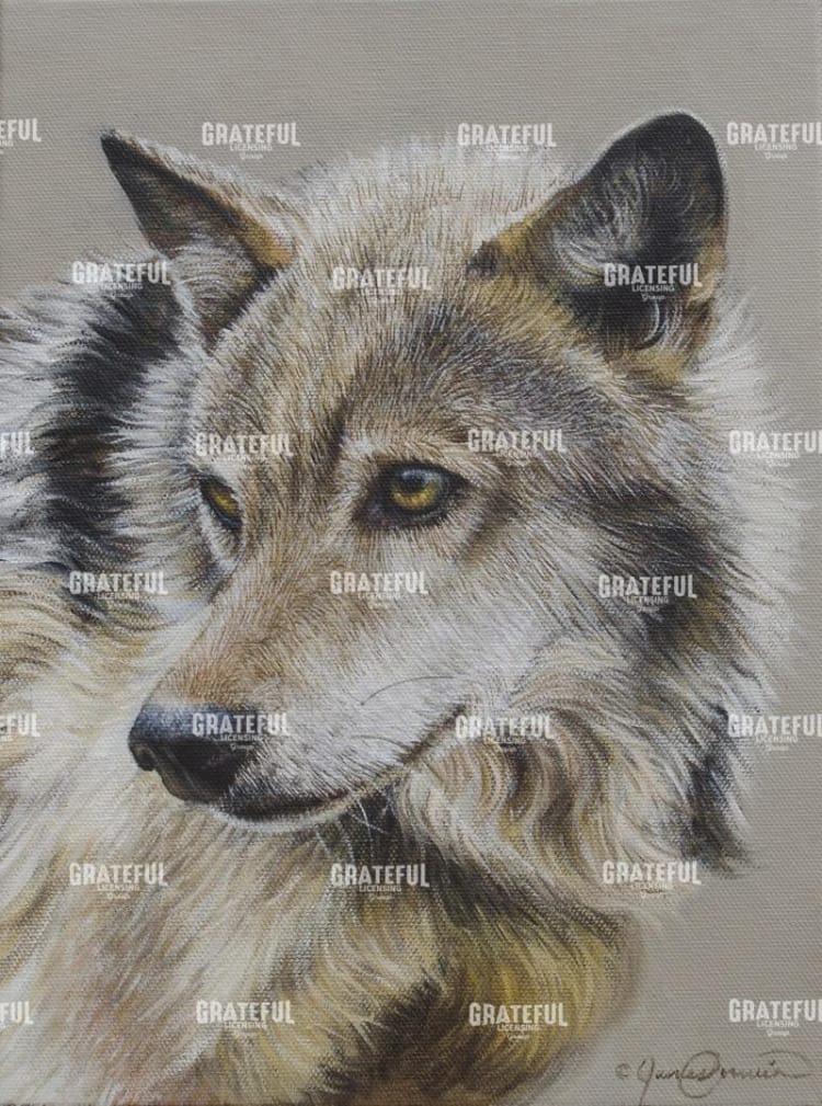 Portrait of a Wolf
