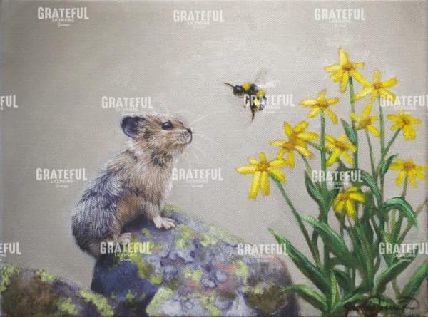 A Pika and a Bumblebee