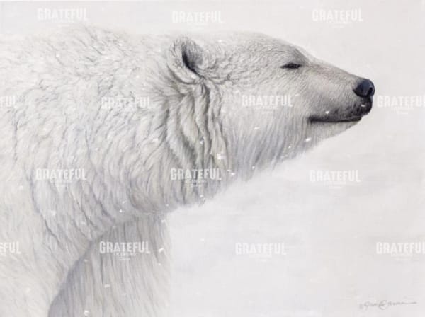 Polar Bear Commission