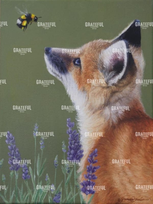 Little Fox and Bumblebee
