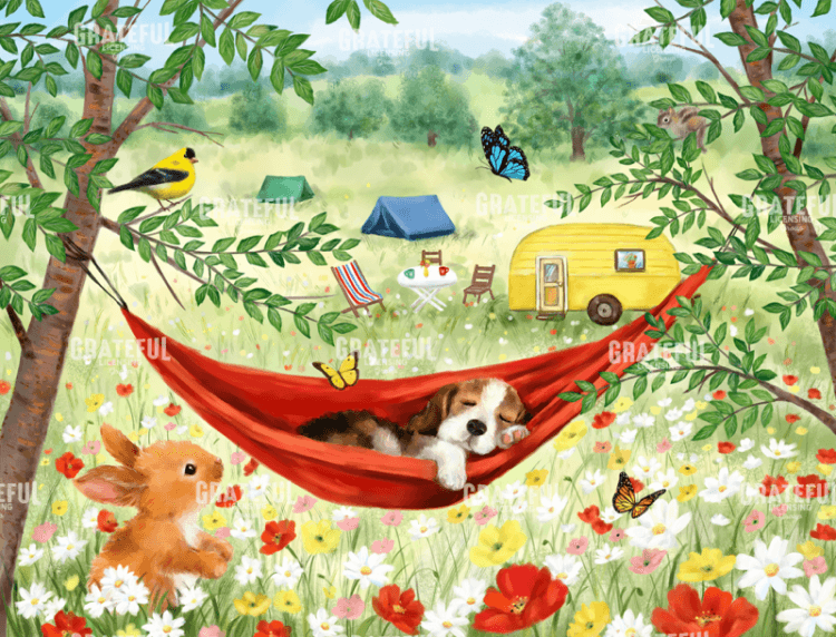 Summer Camping