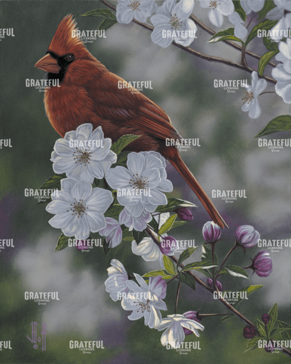 Cardinal