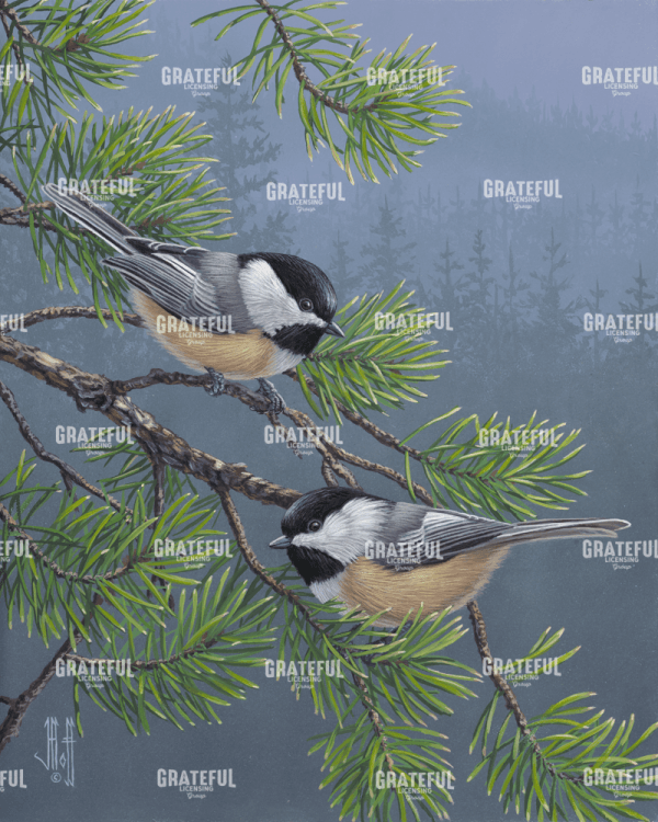 Pine Tree Chatter