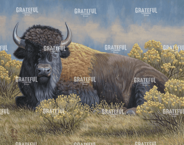Yellowstone Monarch Bison