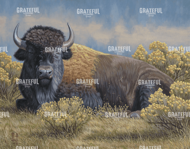 Yellowstone Monarch Bison
