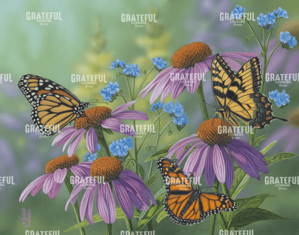 Butterfly Garden
