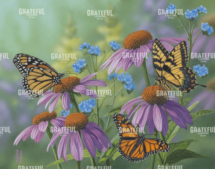 Butterfly Garden