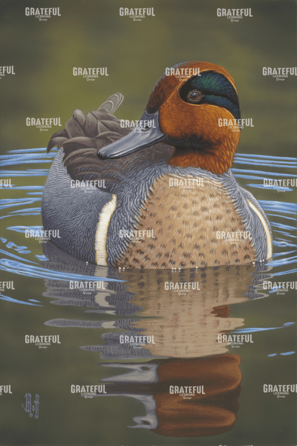 Greenwing