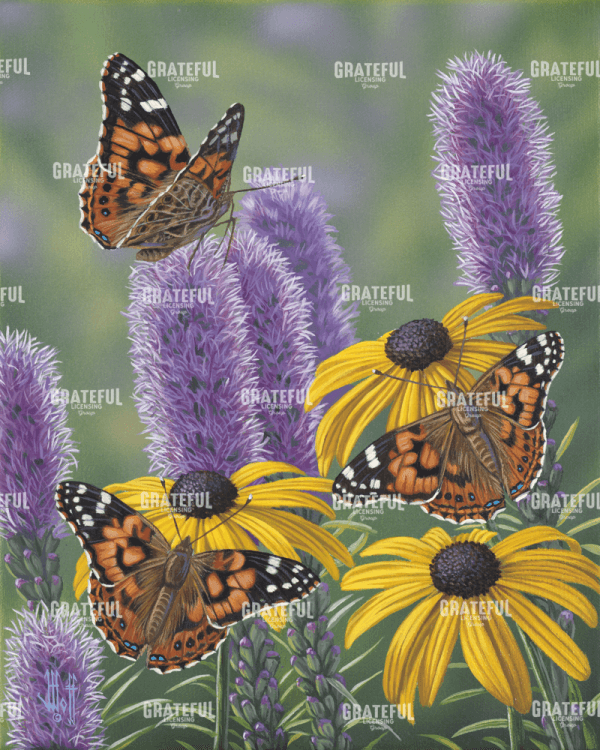 Painted Ladies