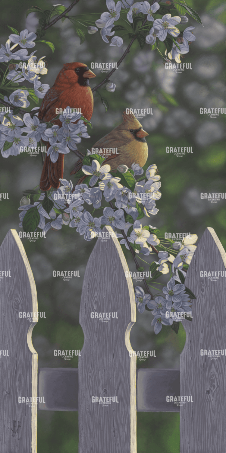 Cardinals