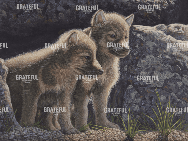Wolf Pups