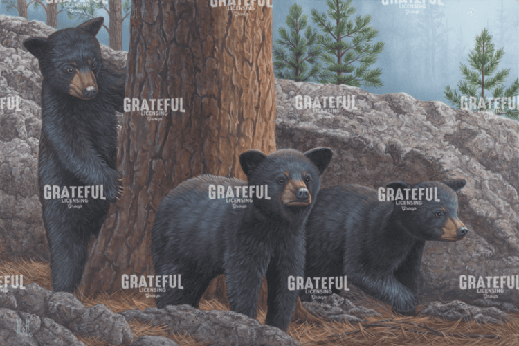 Black Bear Cub Trio