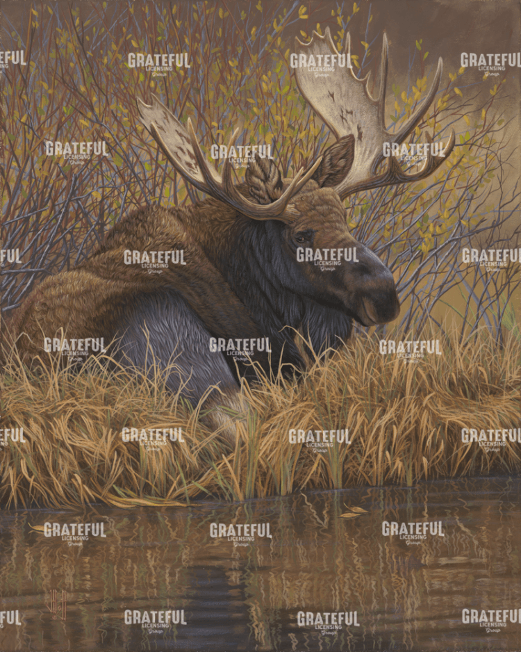 Nested In Teton Moose