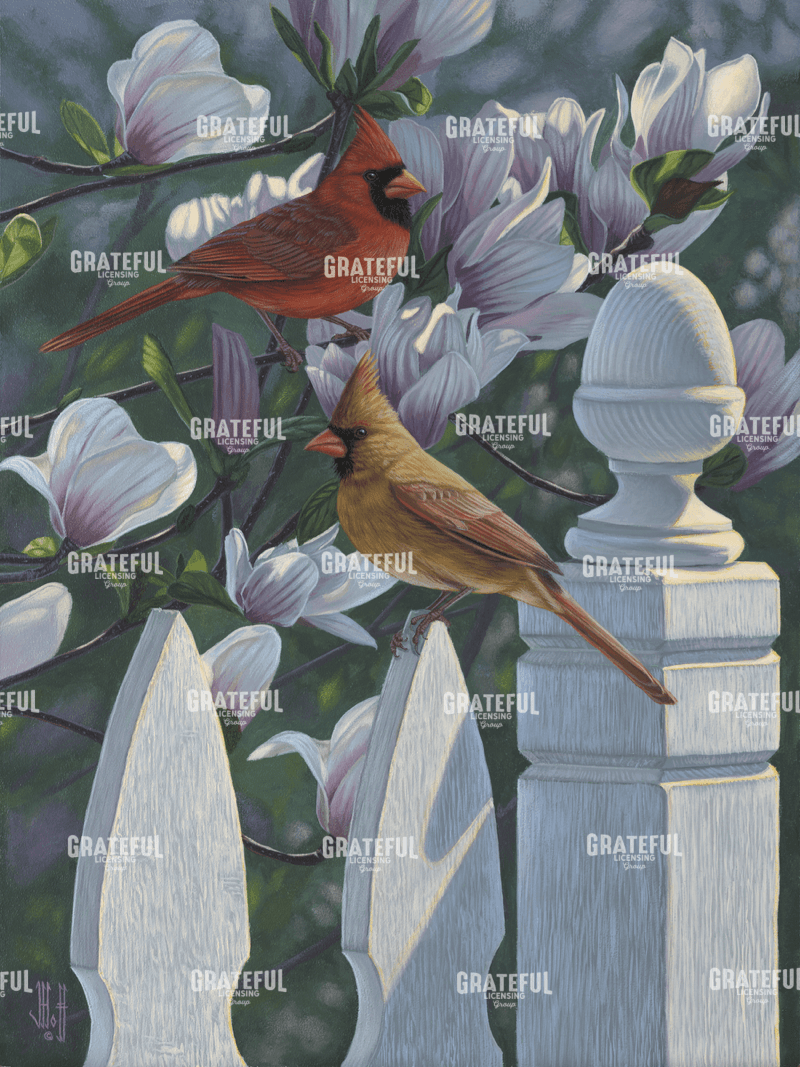Cardinals Magnolias