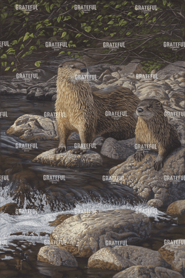 Otter Tail River Otters