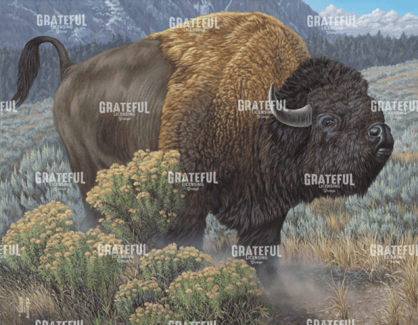 Easy Fella Bison