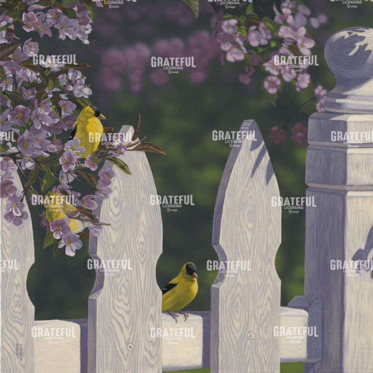 Goldfinch Trio